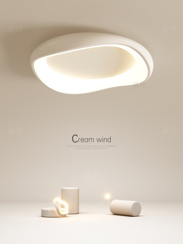 2025新款主卧室灯创意Led吸顶灯休闲现代客厅灯餐厅书房中山灯