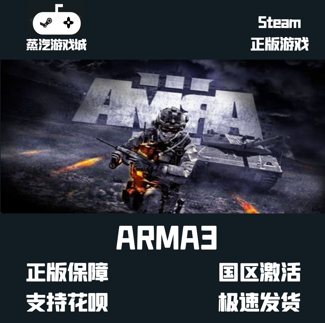 Steam pc正版中文 ARMA3武装突袭3中国大陆区激活码/国区激活码