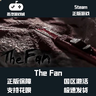 挂卡激活码 挂卡喜加一 狂迷Steam平台激活码 Fan The
