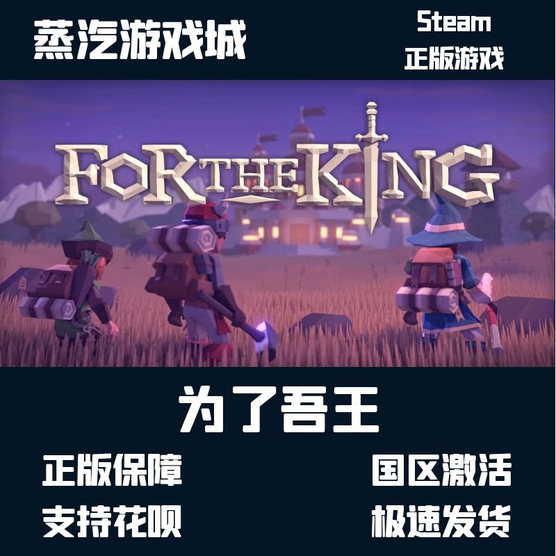 为了吾王steam 为了国王for the king pc正版 国区激活码 cdkey