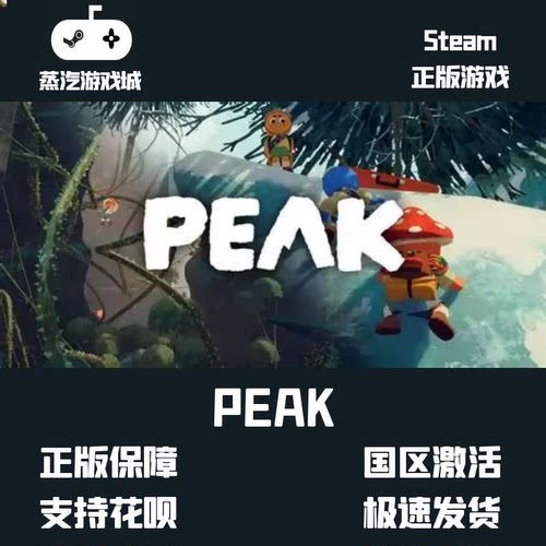 Steam正版激活码 PEAK 国区CDKey 多人在线 PC联机 peak 拉我一把