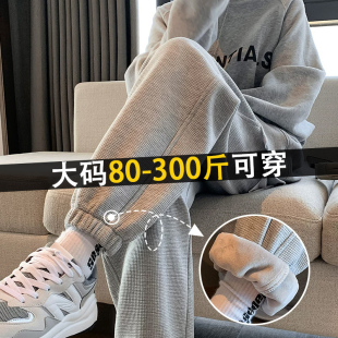 胖mm小个子宽松束脚显瘦灯笼卫裤 大码 女春秋薄款 华夫格灰色运动裤