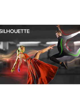 英文Silhouette 2025.0.0 CE Win AE/PR/达芬奇/VEGAS/OFX插件