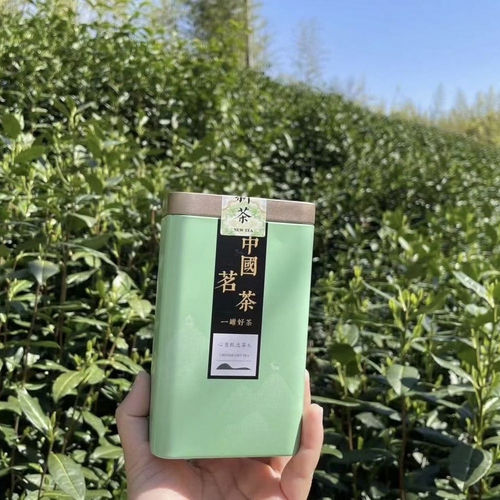 【现货】     高山乌牛早2026新茶 100克  500克 2个规格可选