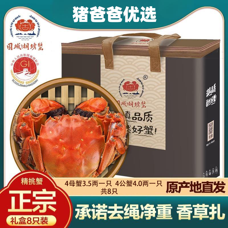活蟹大闸蟹鲜活螃蟹礼盒装