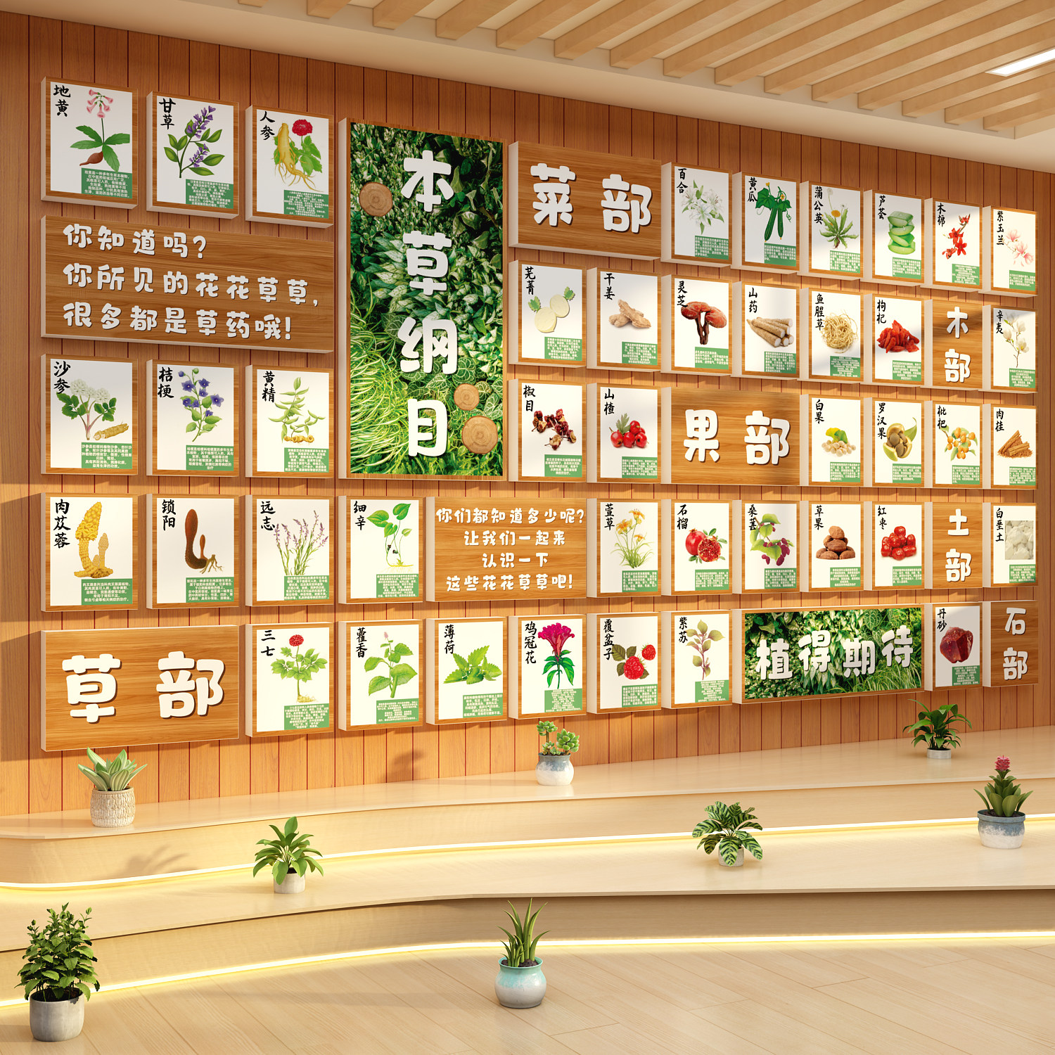 中草药医馆标本展示氛围布置幼儿园自然角墙面装饰文化素材环创贴图片