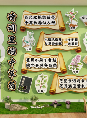 中医草药馆贴画文化幼儿园环创主题教室班级墙面装饰标本展示材料