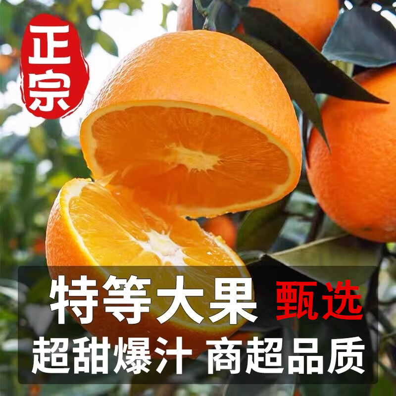 正宗江西赣南脐橙新鲜橙子当季营养水果手剥甜橙10斤装产地直发,水产肉类/新鲜蔬果/熟食,橙,淘宝优惠券,粉丝福利购,淘宝优惠卷
