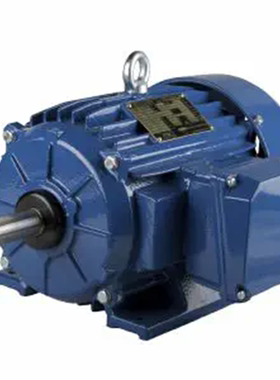 Cantoni Motor IE2电机 2SIE180L4A