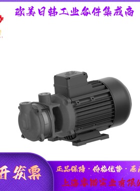小型离心泵   B501/110   BRINKMANN PUMPS