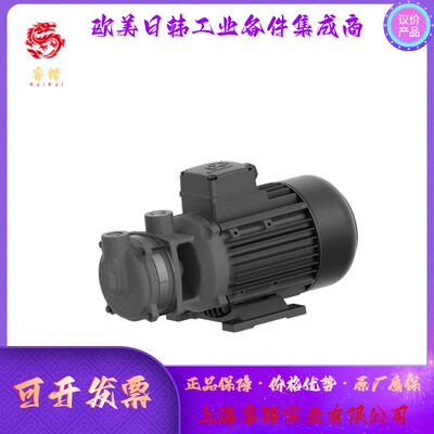 小型离心泵   B501/110   BRINKMANN PUMPS