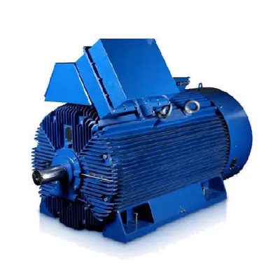 Cantoni Motor  高压电动机 Sh355H2A