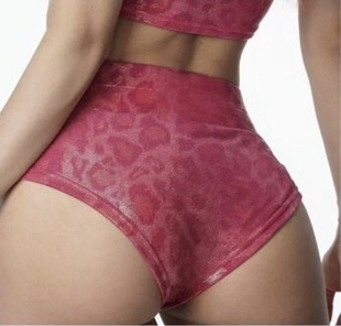 蛇纹豹纹灰豹琥珀三角裤短裤heels抹胸辣妹野性性感跳舞穿