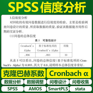 大师姐SPSS信度分析效度克隆巴赫系数 Cronbach 李克特量表问卷星