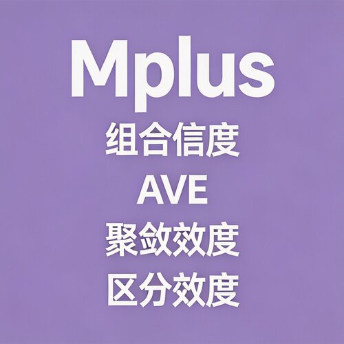 Mplus 组合信度 AVE 收敛效度区分效度检验 数据分析 调整 中介