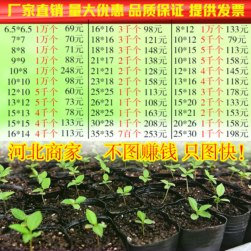 营养钵育苗盆营养杯育苗杯塑料育苗盘一次性加厚黑色营养袋育苗袋
