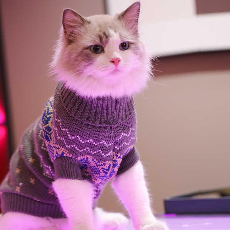 猫咪衣服冬季幼猫保暖防掉毛布偶猫蓝猫英短宠物猫猫新年春秋毛衣