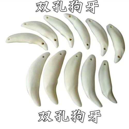 真黑狗牙吊坠 天然宝宝儿童随身挂件编手脚链别针男女 犬齿单双孔