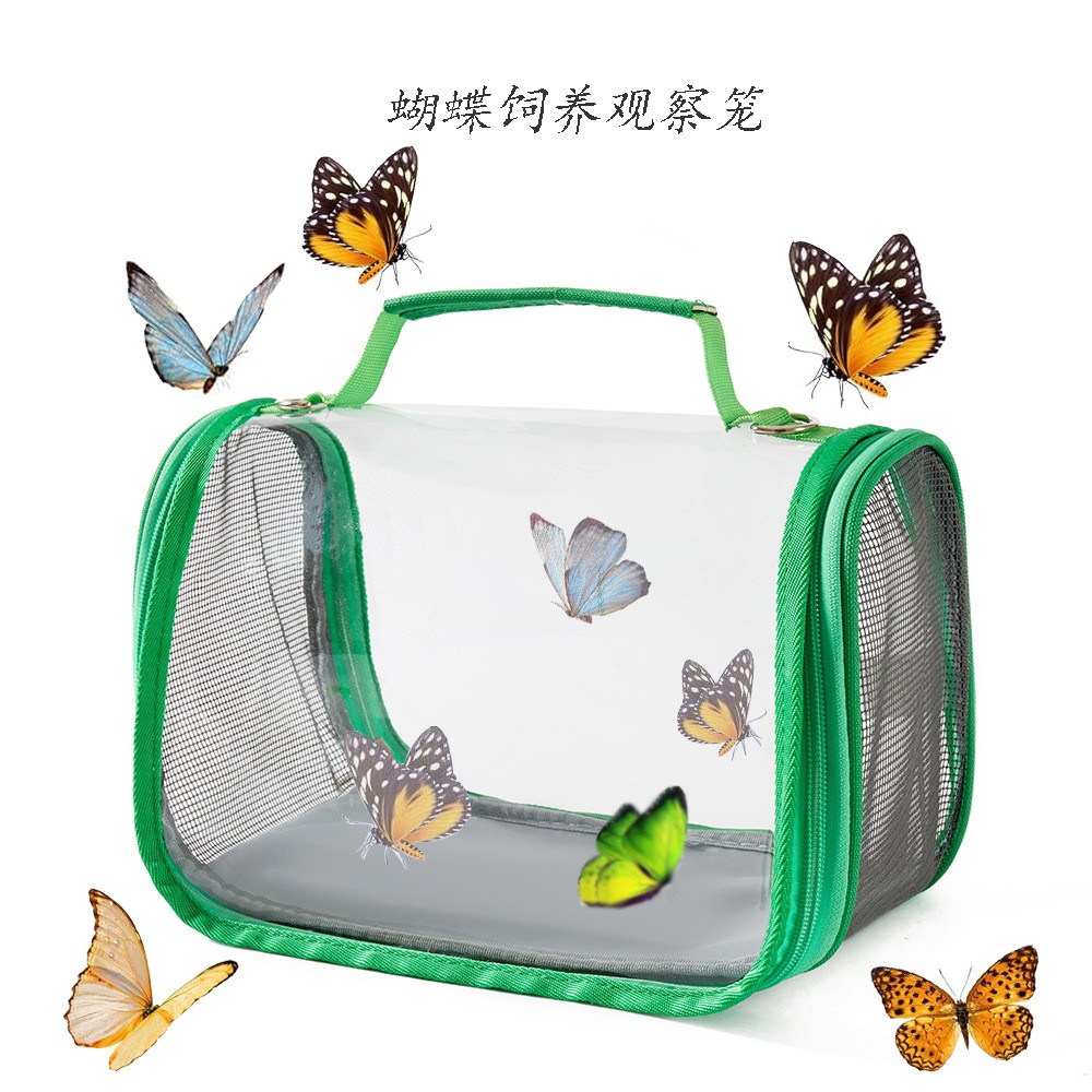 昆虫便携观察盒仓鼠蜻蜓外出包