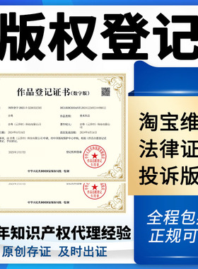 美术作品版权登记加急办理图片动漫IP音乐视频版权代办理平台认证