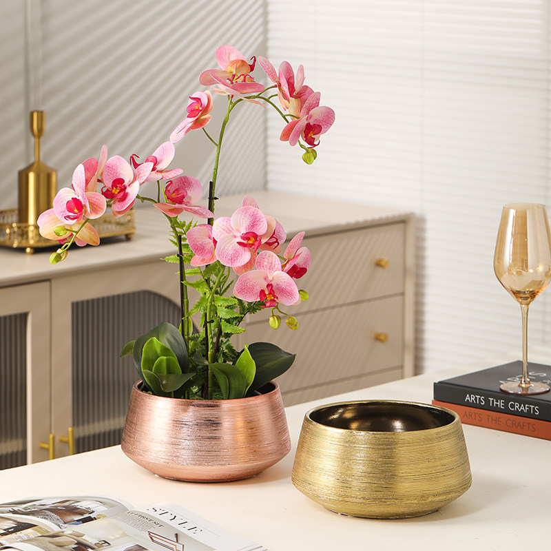 高档轻奢电镀拉丝金色亮光家用水培水仙花蝴蝶兰花插花陶瓷大花盆