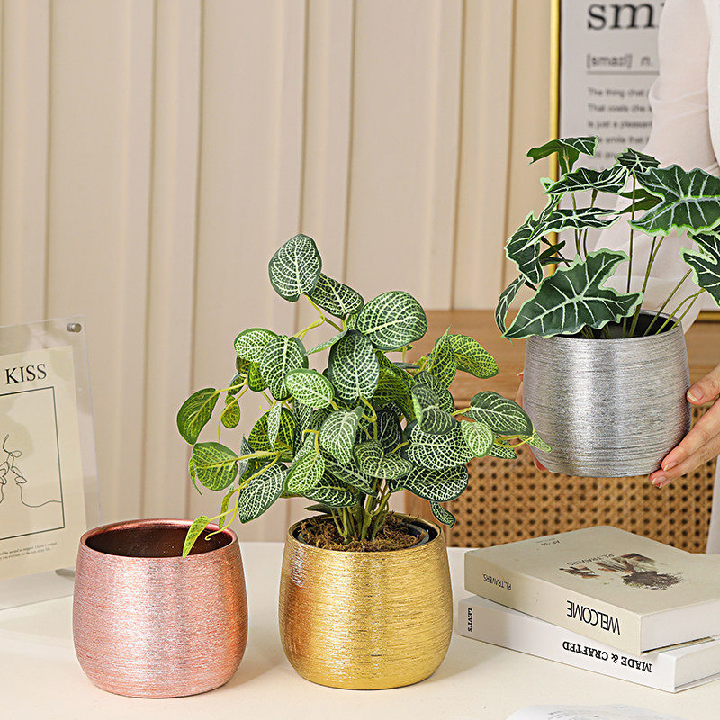 新年装饰轻奢风创意拉丝电镀金蝴蝶兰单杯套盆水培红白掌陶瓷花盆