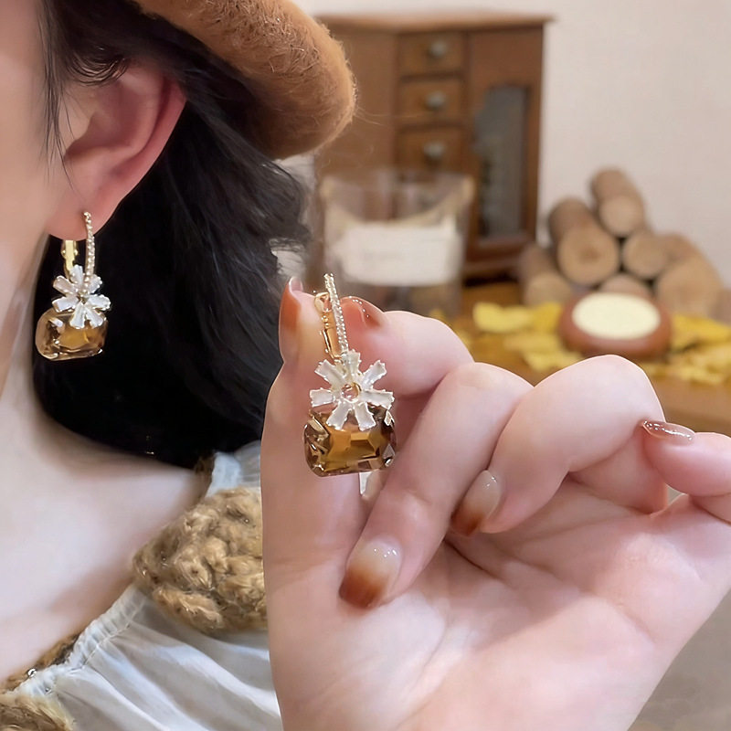 一款多戴咖色水晶银耳环925纯银针女轻奢高级感精致闪钻气质耳饰,珠宝/钻石/翡翠,耳饰,淘宝优惠券,粉丝福利购,淘宝优惠卷