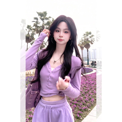 紫色超火减龄上衣女春季2026新款正肩V领长袖t恤紧身显瘦打底衫女