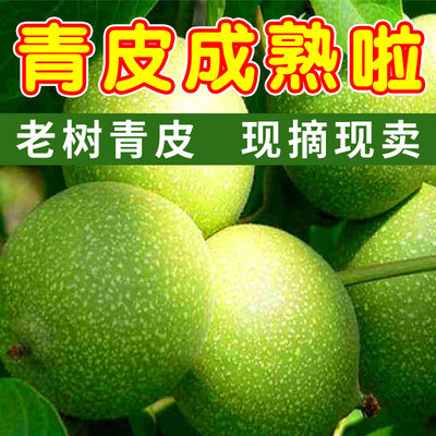 文玩核桃赌青皮宫灯头绿皮闷尖