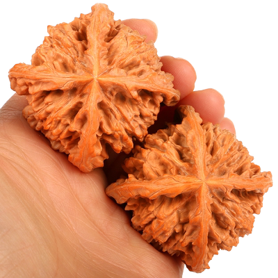 核桃王勇大官帽拼接四道筋异型