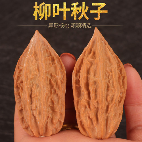 东北柳叶大秋子核桃楸子天然
