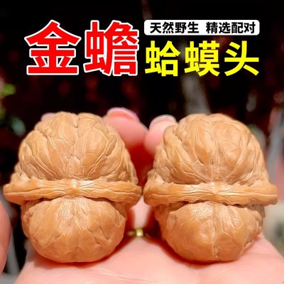 开背蛤蟆头文玩核桃矮桩闷尖老树延庆金蟾手玩收藏级男女古玩核桃