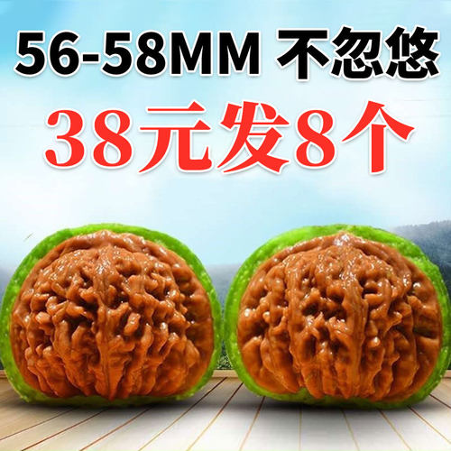赌青皮核桃带绿皮大尺寸