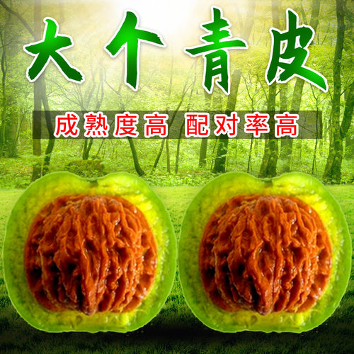 文玩核桃青皮天然野生核桃四座楼狮子头手把件核桃文玩开青果核桃