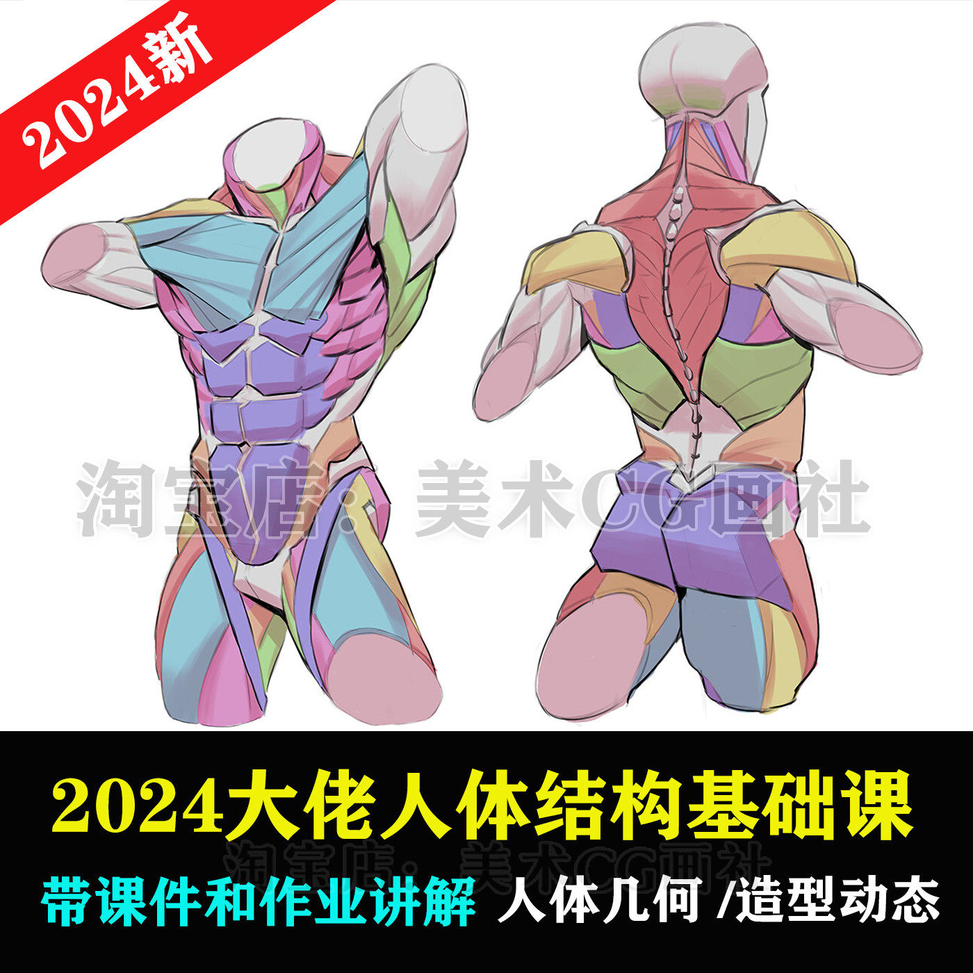 2024人体动态结构教程PS素设计素材/源文件
