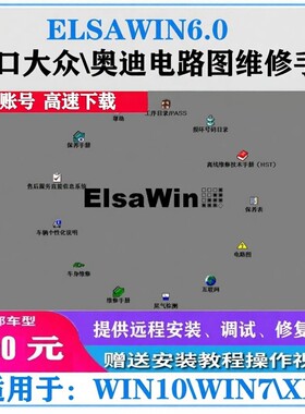ELSAWIN60版本大众奥迪维修电路图系统原厂资料包安装测试修复