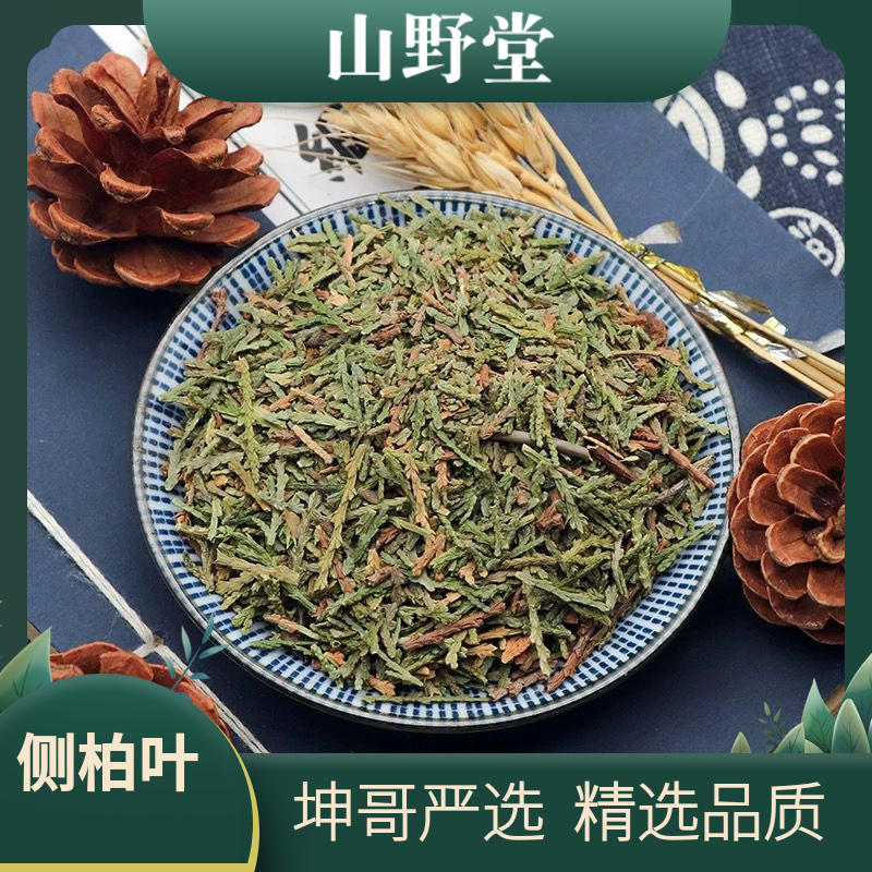 侧柏叶去杆无杂质