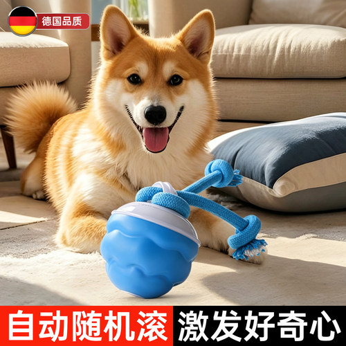 德国精工狗狗电动玩具球宠物自嗨电动球跑动解闷逗猫逗狗电动玩具