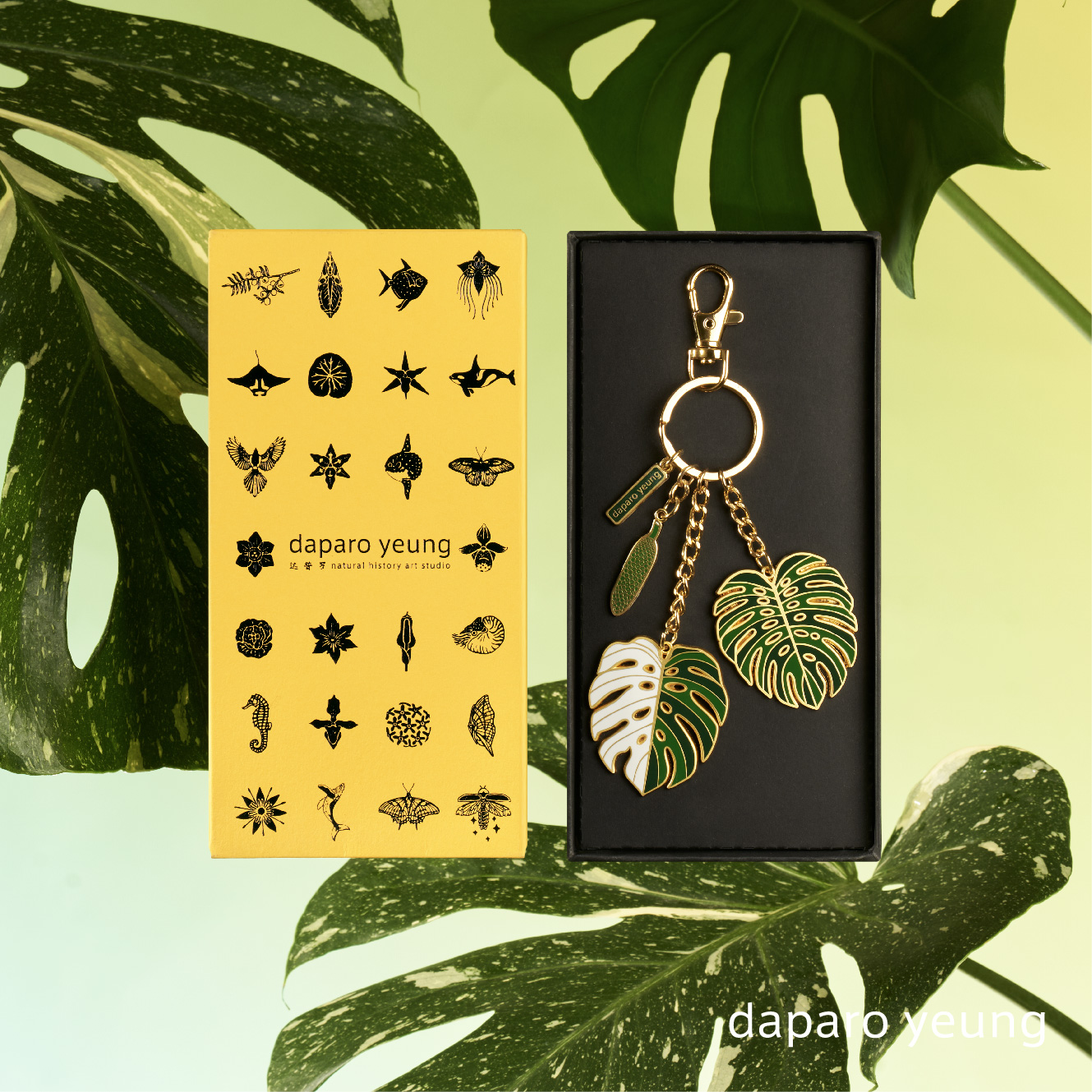 自然博物，原创设计，小众好物