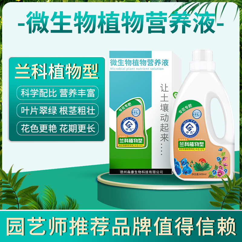 中古12号兰科植物绿植鲜花浓缩