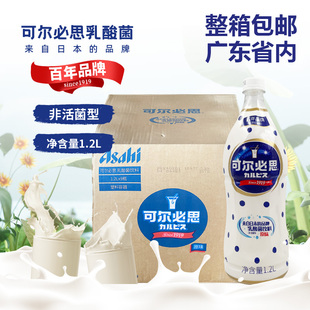 整箱 广东省日本CALPIS可尔必思1.2L×9瓶乳酸菌饮料奶茶店用 包邮