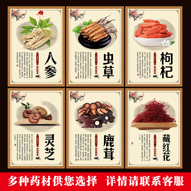 中草药海报中药材介绍贴纸挂图墙贴画人参鹿茸三七中药房布置挂画