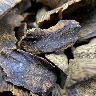 绿奇楠碎块全油棋楠肉肉沉香棋韵浓郁花香蜜甜泡水泡茶泡酒安神