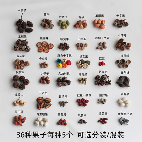 1-3cm果子豆荚手工DIY材料包