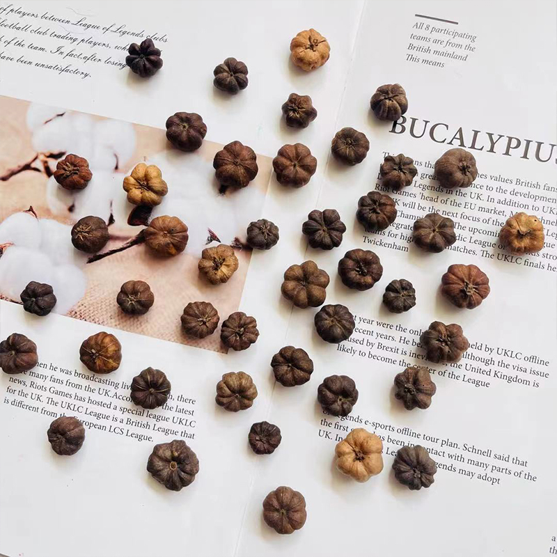 小桔进口植物森系香薰蜡烛干花