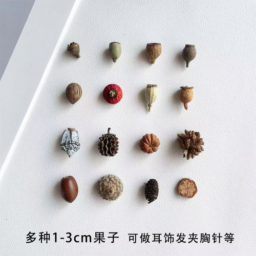【1-3cm】迷你植物果实手工diy材料包 耳饰发夹小果子植物标本果