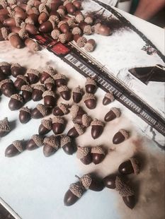 惊爆价干花包天然带帽橡子果实饰品大橡果带橡碗橡树果装饰摆件