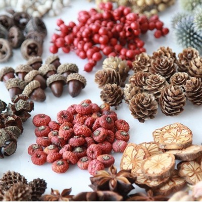100种果壳松果木片树叶干花干果组合套装幼儿园装饰摆件复古道具