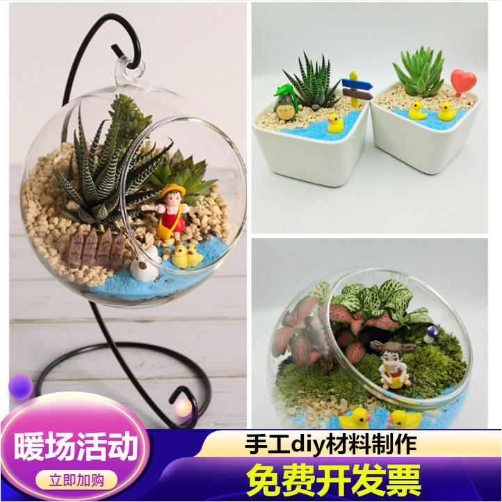 工具新品微景观diy材料包多肉迷你植物玻璃瓶苔藓手工制作套装礼