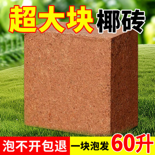 coconut bricks nutritious Large for soil flower chunks